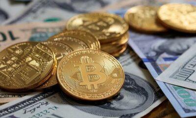 The Difference Between Fiat Money and Cryptocurrencies