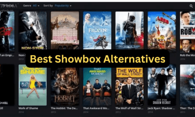 Showbox Alternatives