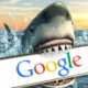 Google Underwater